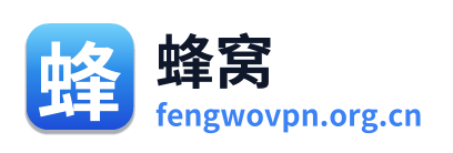 蜂窝VPN